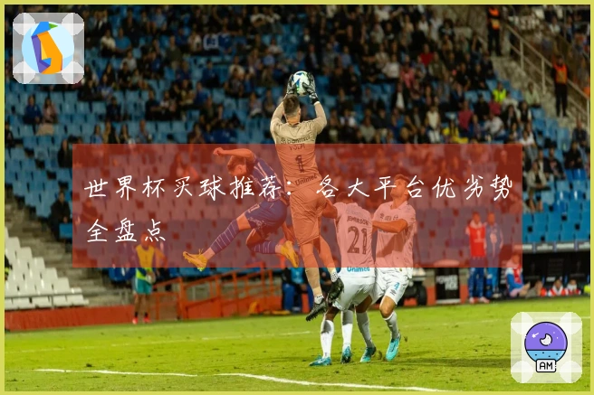 世界杯买球推荐：各大平台优劣势全盘点