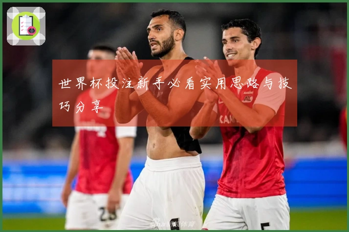 世界杯投注新手必看实用思路与技巧分享