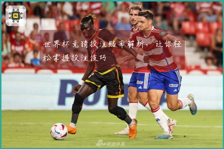 世界杯竞猜投注赔率解析，让你轻松掌握投注技巧