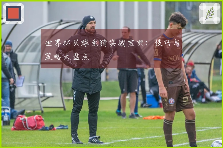世界杯买球竞猜实战宝典：技巧与策略大盘点