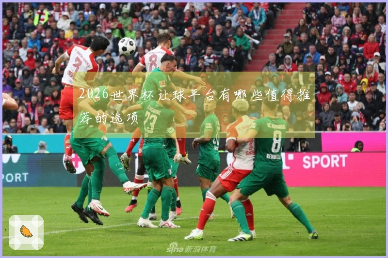 2026世界杯让球平台有哪些值得推荐的选项
