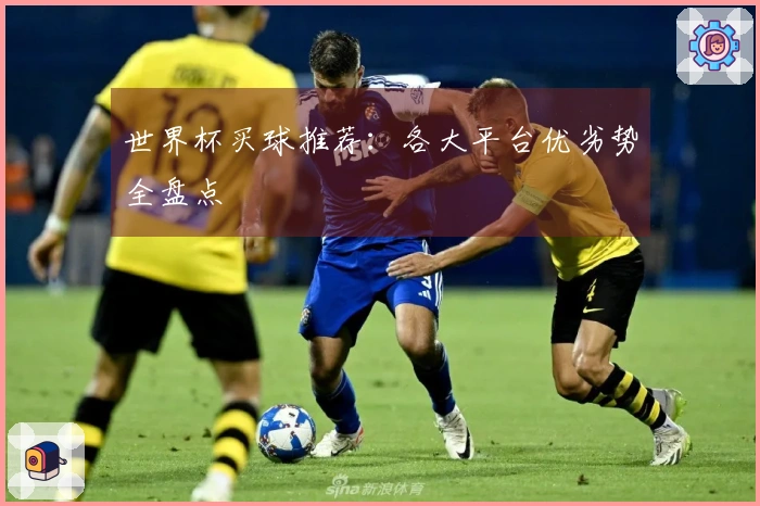 世界杯买球推荐：各大平台优劣势全盘点
