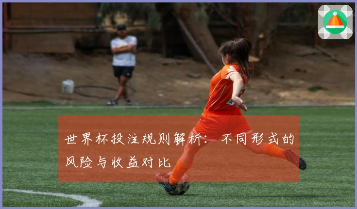 世界杯投注规则解析：不同形式的风险与收益对比