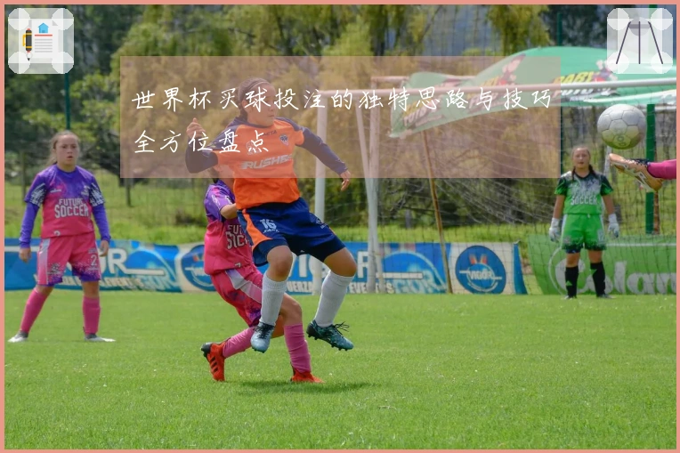 世界杯买球投注的独特思路与技巧全方位盘点